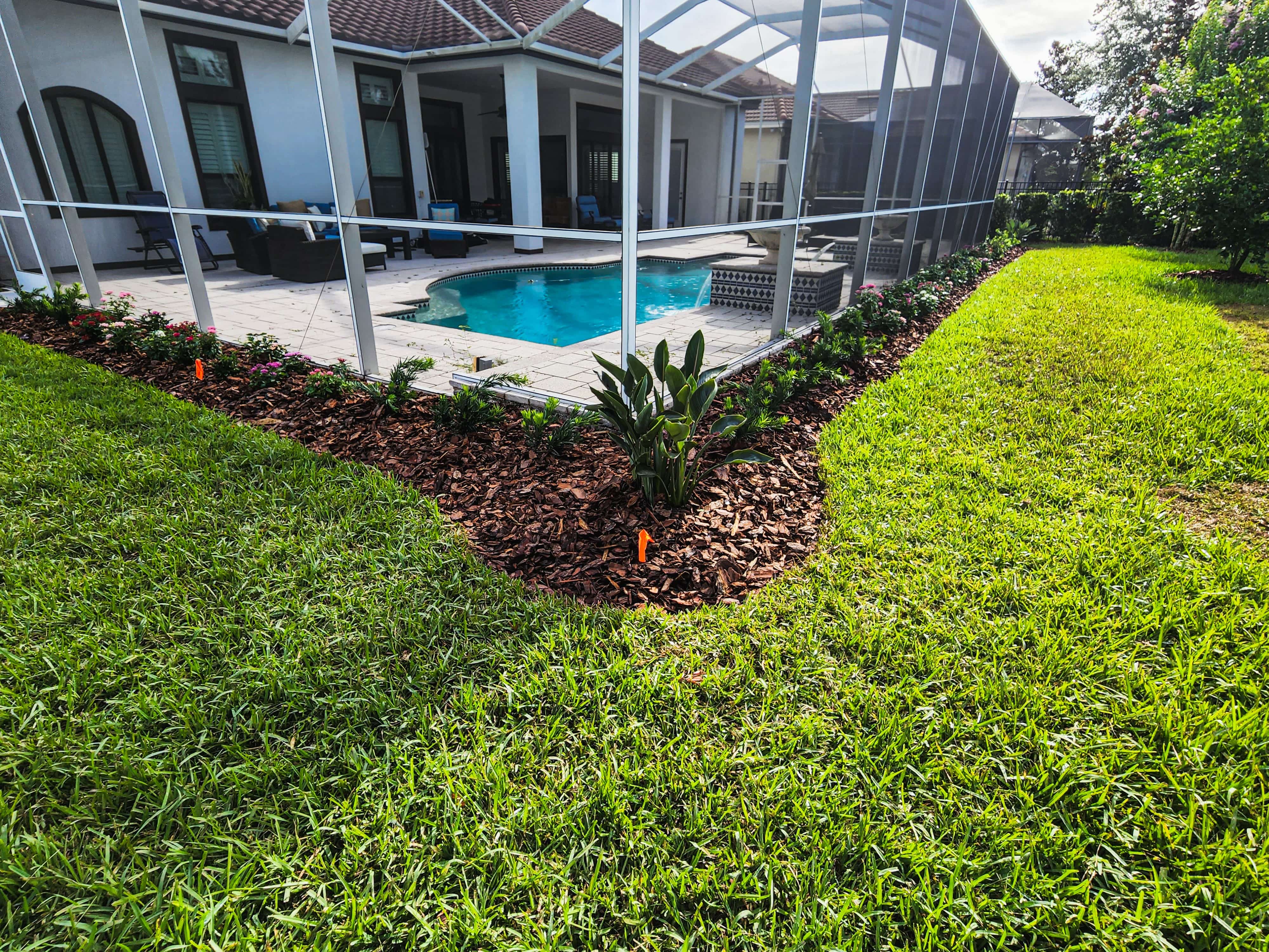 landscaping around pool with garden beds, sod and hedges