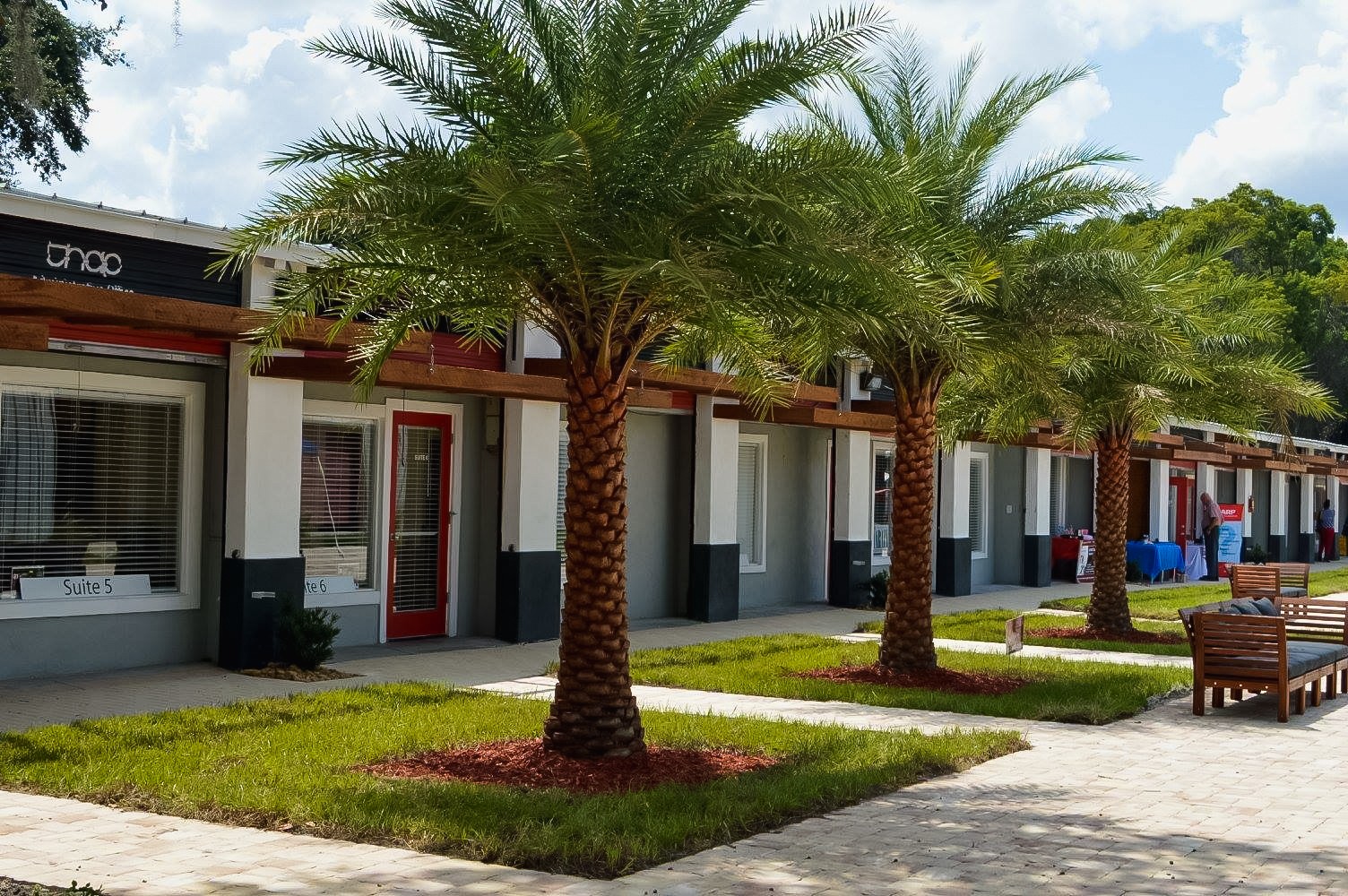 commercial landscaping with three palm trees in front of business entrance